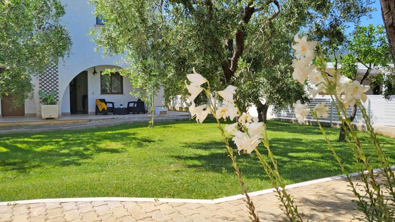 Hotel Residence Torre Del Porto Mattinata Eksteriør bilde